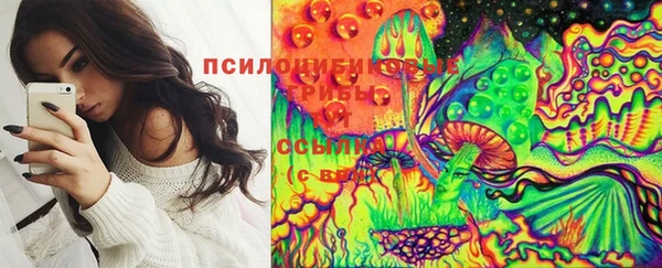 мет Бородино