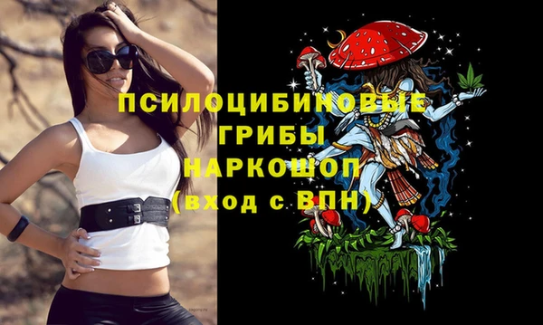 герыч Бронницы
