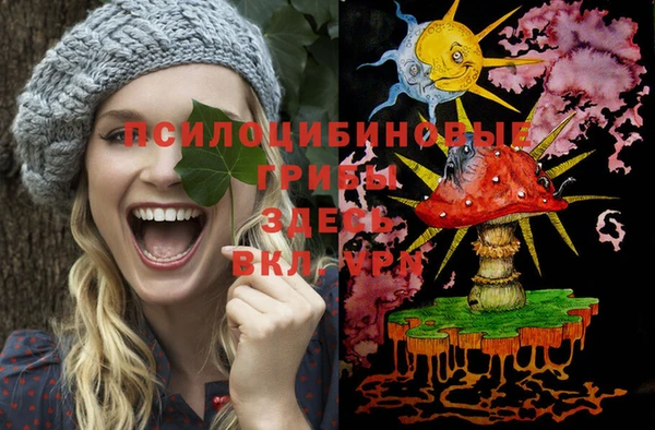 герыч Бронницы