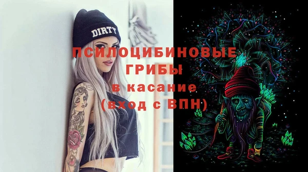 герыч Бронницы