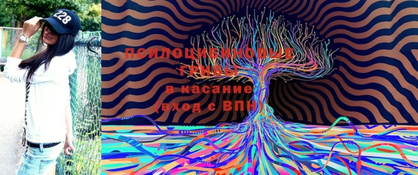 герыч Бронницы