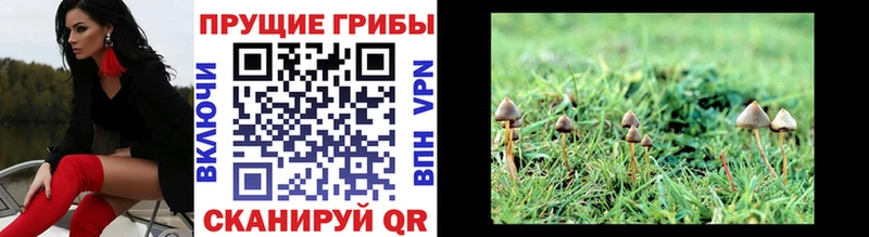 Галлюциногенные грибы Magic Shrooms Ворсма